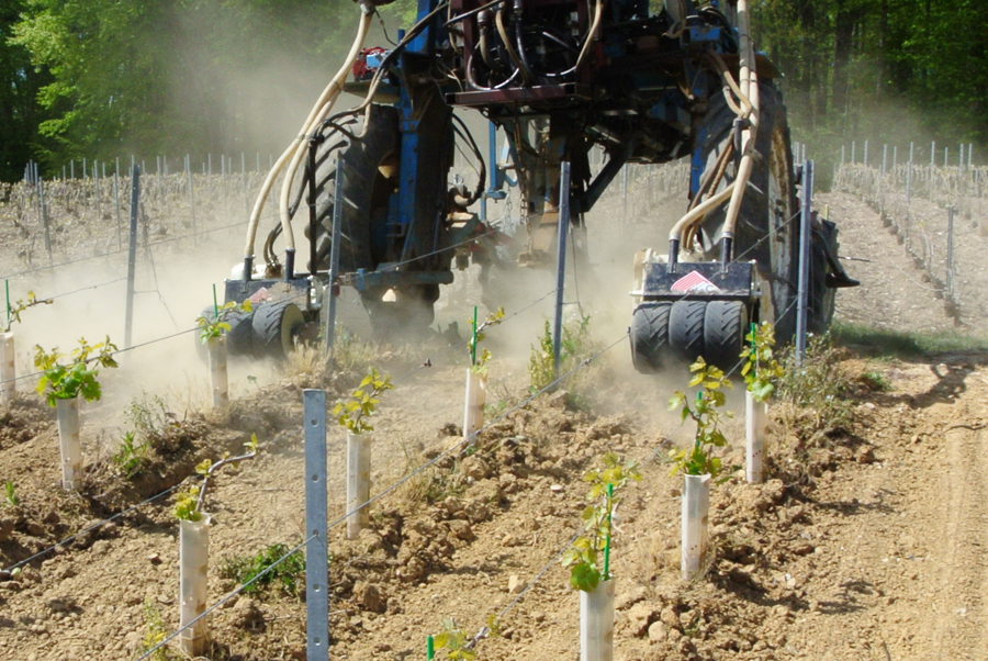 Machine maintenance Inter rank for vine growing
